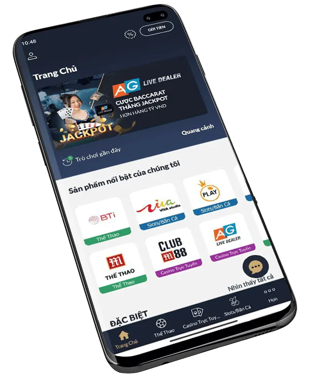 Giấy phép và quy định cá cược